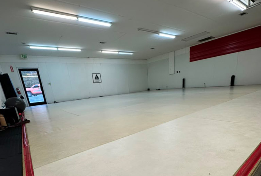 Alliance Jiu Jitsu Wilmington