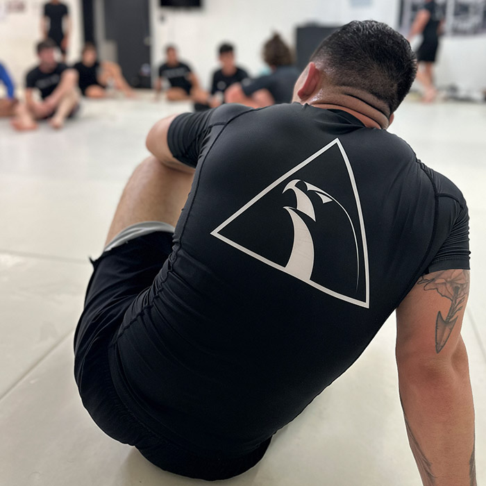 Alliance Jiu Jitsu Wilmington - NO GI Program